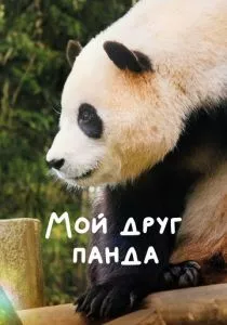 Мой друг панда смотреть онлайн